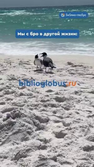 Мы с бро в другой жизни #shorts