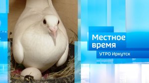 Голубевод Николай Новиков / Утро. Местное время / 10.06.2026