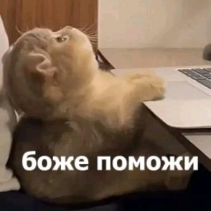 +-24 часа со мной №2
