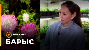 «Барыс» (09.06.26)