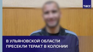 Готовивший теракт в колонии в Ульяновской области дал признательные показания