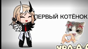 первый котёнок ❤️💖