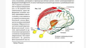 А. Глаз, А. Апанаскевич «Сфера Разума» (3.4 - 3.5). Аудиокнига