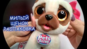 Самый милый щенок 😍 Распаковка игрушки сюрприза щенок🤩😽🍭  Видео для детей