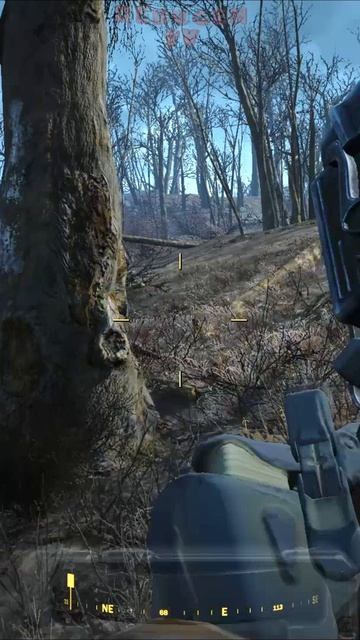 Тайна самки. Fallout 4. #shorts #fallout