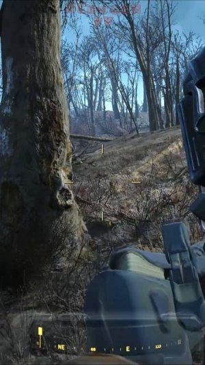 Тайна самки. Fallout 4. #shorts #fallout