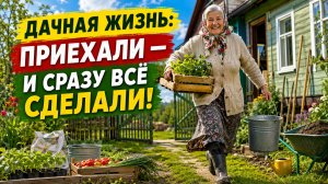 Атмосферная дачная жизнь, приехали и сразу всё сделали!