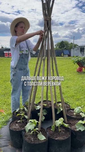 Пластиковые опоры для огурцов – скука скучная!