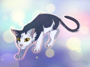 опять страдаем фигнёй опять страдаем фигнёй