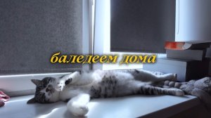 УРА, ВЛОЖИК #74! ПРИХОДИМ В СЕБЯ ПОСЛЕ ВЫХОДНЫХ! 8.06.26