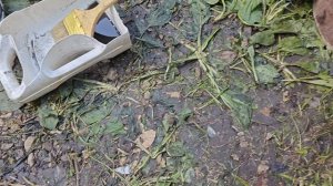 Почему болты(винты) крепления левой крышки картера со временем плохо вкручиваются...
