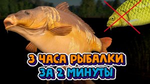 ВЫСЕД Карп Кои Мидори-гои. оз. Комариное. Русская Рыбалка 4. РР4