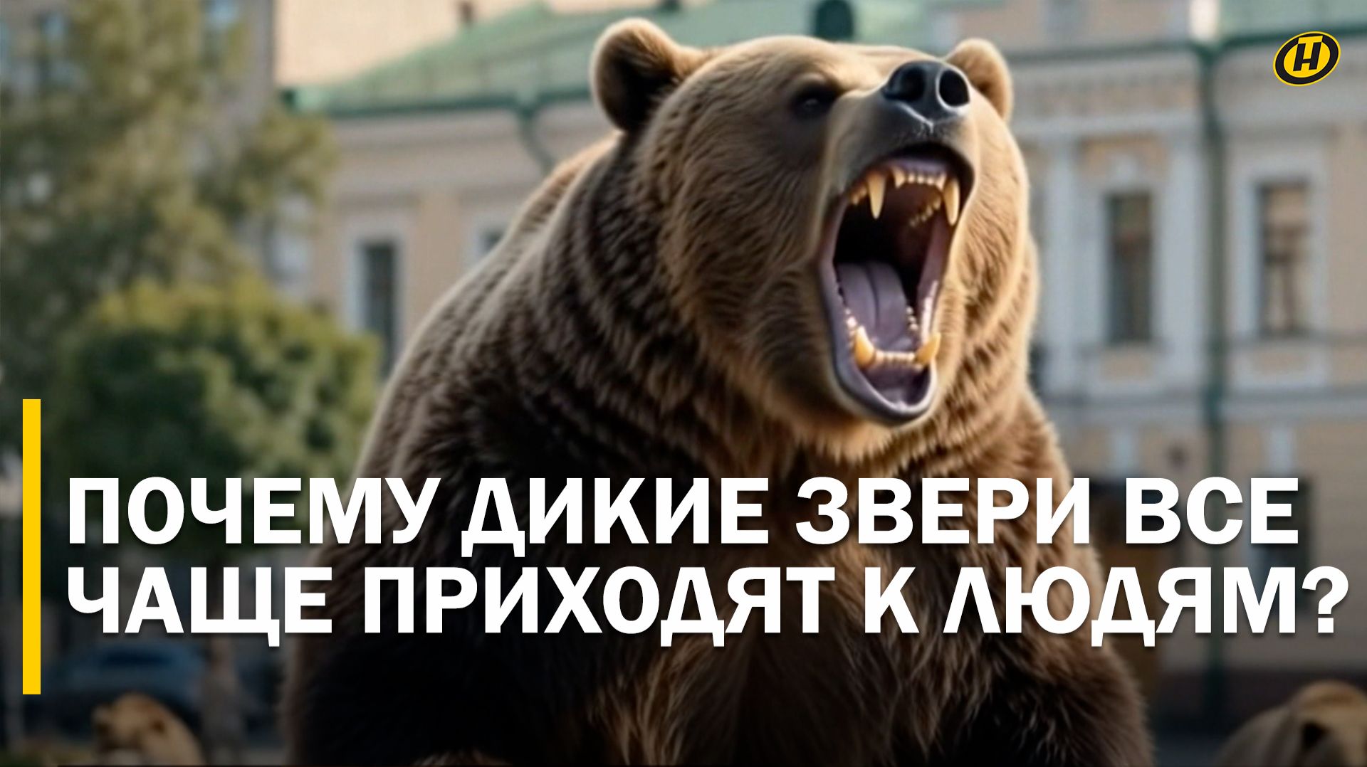 СОЖРАЛИ ВСЮ КАРТОШКУ И КАБАЧКИ. Почему дикие звери больше нас не боятся и все чаще идут в города?