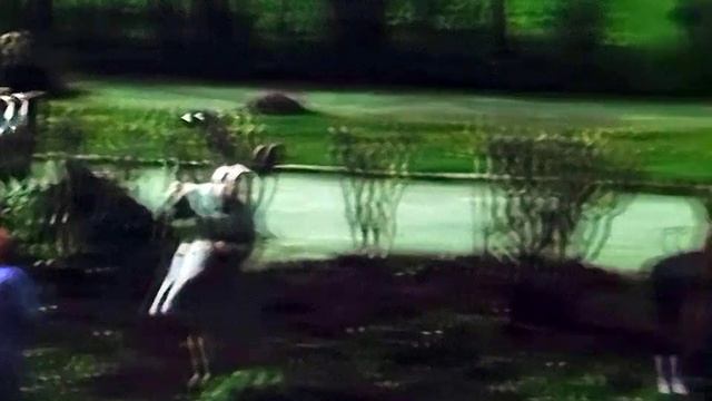 1986 год. Тюмень. Благоустройство Комсомольского сквера