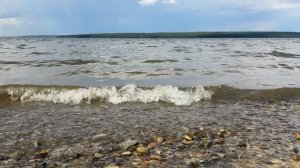 Природа в Пензе ( Сурское Водохранилище)