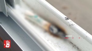 74-летняя женщина пострадала в результате пожара в троицком поселке Южный