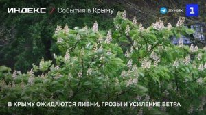 В Крыму ожидаются ливни, грозы и усиление ветра