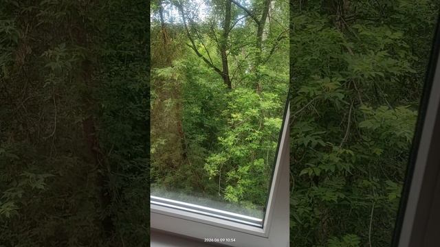 Суточно в Посуточно