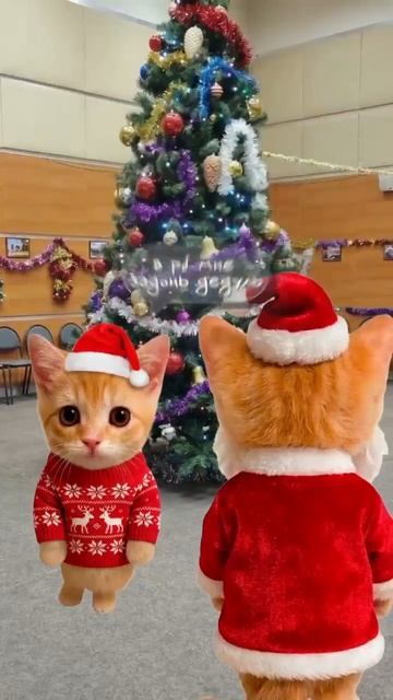 котята пояснят