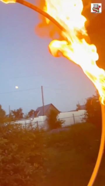 Пискунчик с Рыжиком с Любовью ответили Aлле и попросили чтоб она их не перелистывала и дала жару❤️