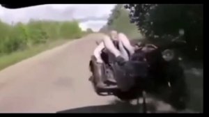 смешные видео