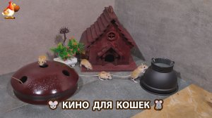 Видео для кошек про крысок развлекать питомцев 🐭🐀😂 (554)