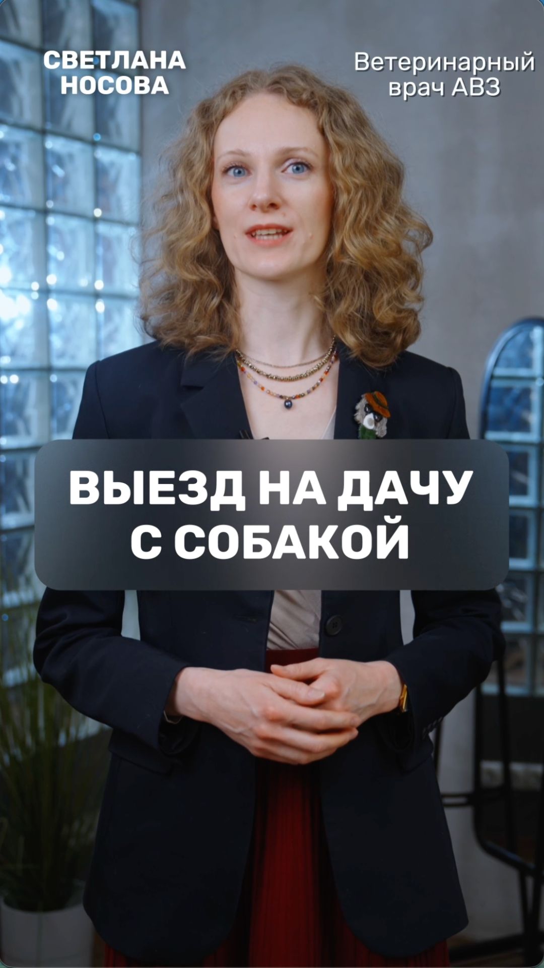 Выезд на дачу с собакой