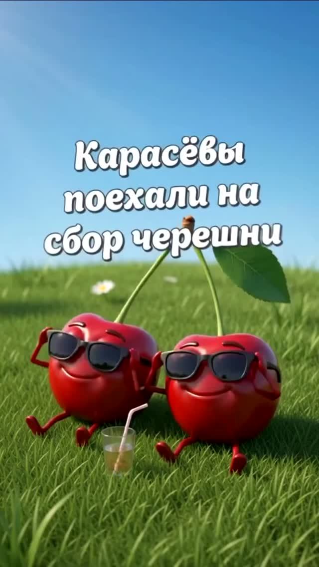 Карасёвы поехали впервые на самосбор черешни