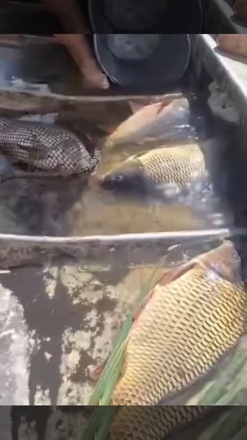Три правила на рыбалке!