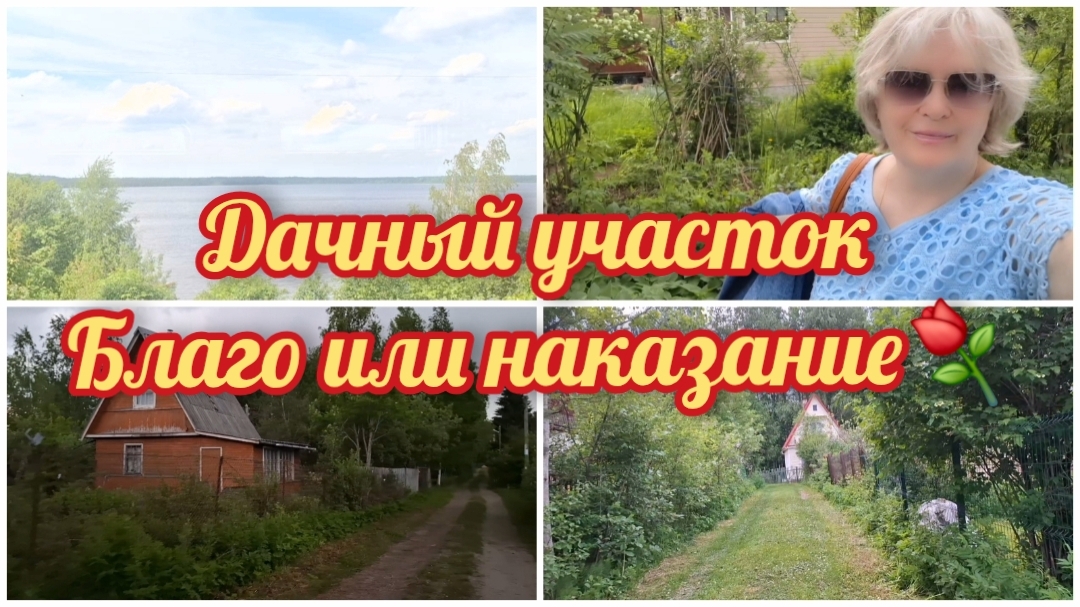 09-06-2026 Дачный участок.Благо или наказание. смотреть онлайн