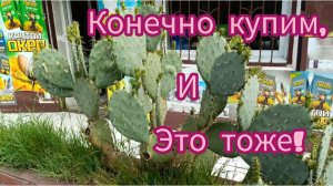 Соблазны терзают, ручная кладь ограничивает! Всё равно не Удержалась!
