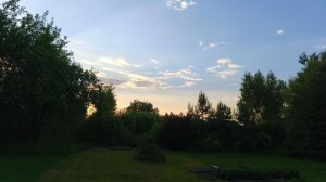 Моя дачная жизнь
