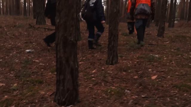 выживи в лесу часть 25