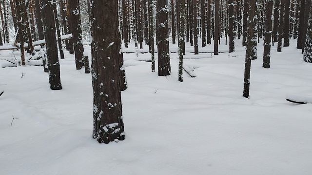 вспоминая зиму смотреть онлайн