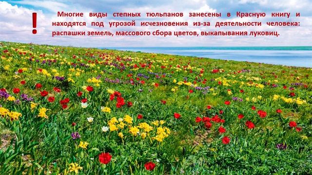 Наша работа