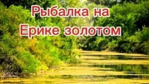 Рыбалка на золотом ерике. Такое тоже бывает.