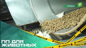 ПП для животных. Челябинская компания производит высококачественный сухой корм