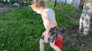 Кормление НОВОГО питомца 07/06/26 Бабушка и дедушка, мама и папа наших фазанят. #мари_мистик
