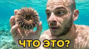 ИСХОД РУССКИХ МУЖИКОВ В ДЖУНГЛИ. ФИЛИППИНЫ НАШ ИДЕАЛЬНЫЙ ДЕНЬ В ТРОПИЧЕСКОМ РАЮ!