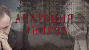 Анатомия сносов