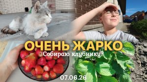 ВЛОГ СОБИРАЮ КЛУБНИКУ?🍓 Семён переел😬