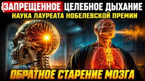 37. Мозг умирает Пауза в три секунды останавливает это прямо сейчас | За Гранью Кода