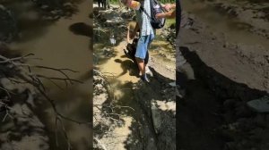 🌲🏕️ Команда «СУПЕРТЯЖ» на время сменила рабочие задачи на настоящие приключения!
