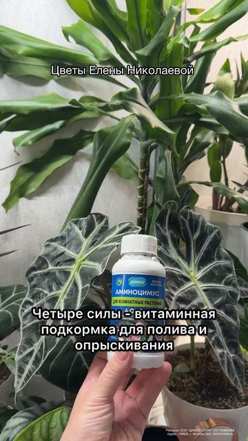 ЛУЧШАЯ ПОДКОРМКА ЦВЕТОВ!
