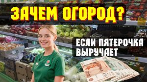 Сажаем огород назло пятерочке