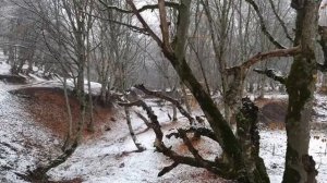 Готовим  судака на костре в Садже.