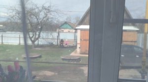 Деревенский влог