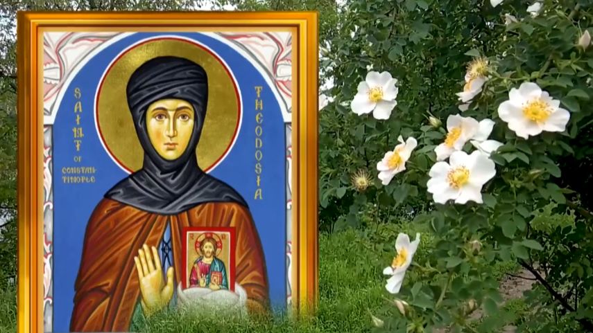 11 июня день Феодосии. Избегайте в этот день конфликтов с теми, кто дорог сердцу. смотреть онлайн