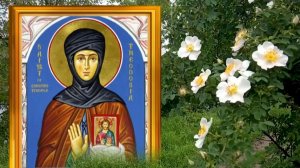 11 июня день Феодосии. Избегайте в этот день конфликтов с теми, кто дорог сердцу.