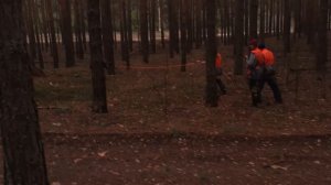 выживи в лесу часть 26